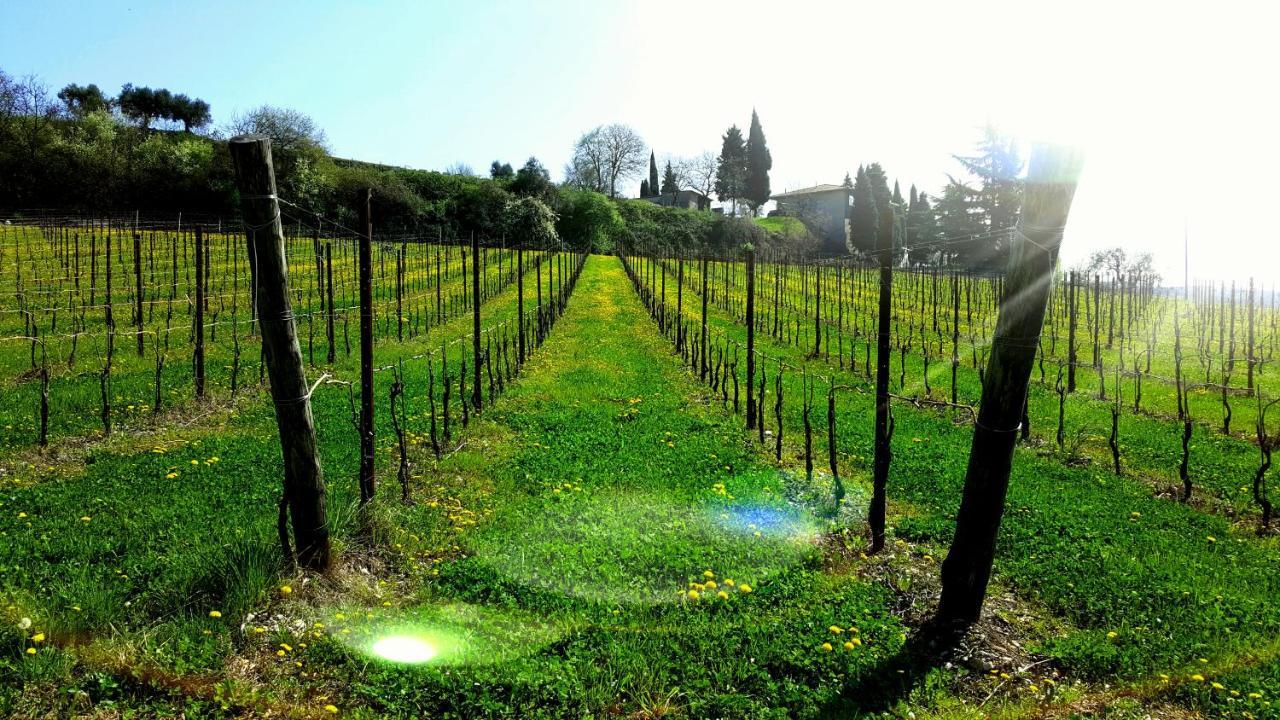 Agriturismo La Guarda Picedo Eksteriør billede