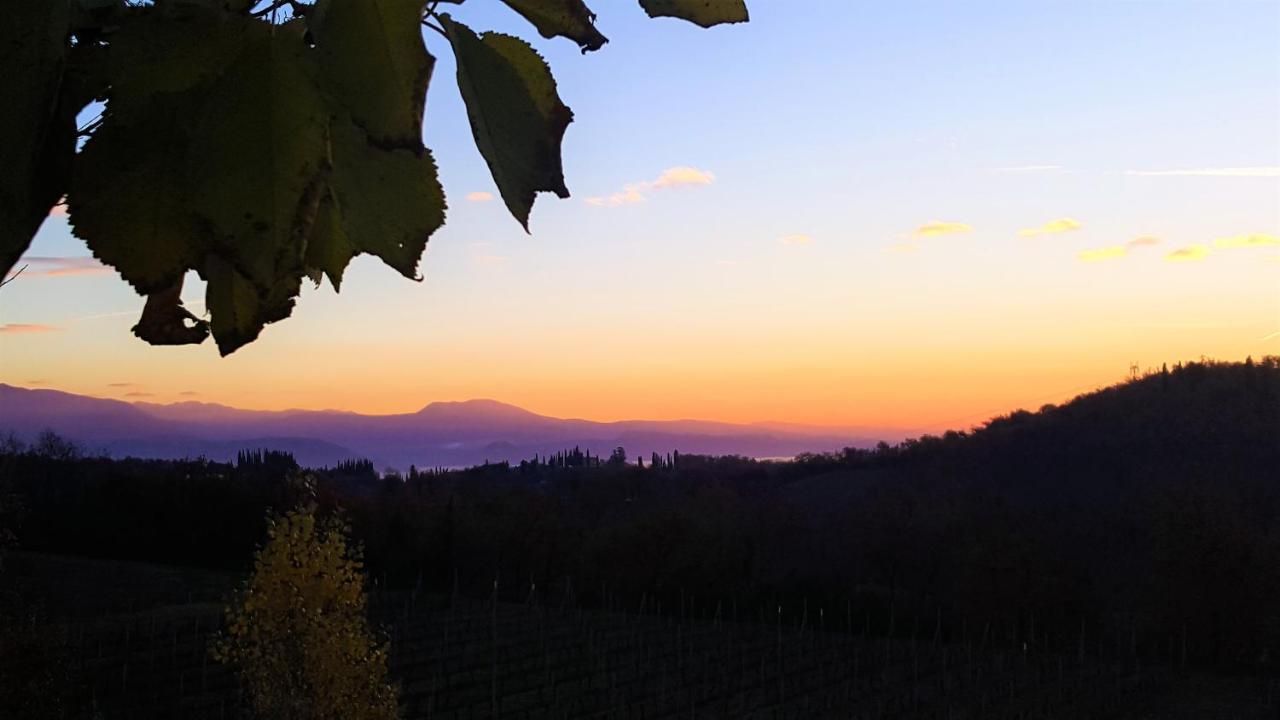 Agriturismo La Guarda Picedo Eksteriør billede