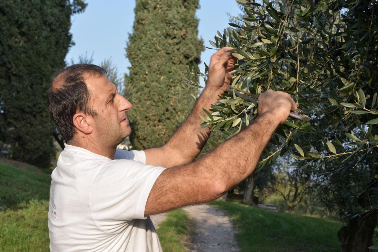 Agriturismo La Guarda Picedo Eksteriør billede
