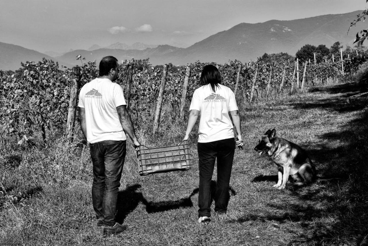 Agriturismo La Guarda Picedo Eksteriør billede