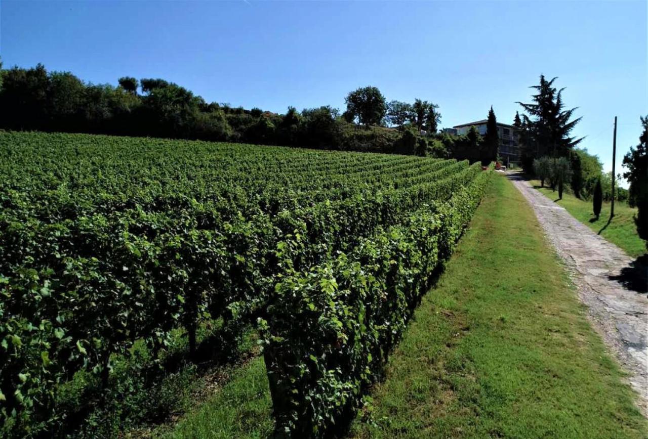 Agriturismo La Guarda Picedo Eksteriør billede