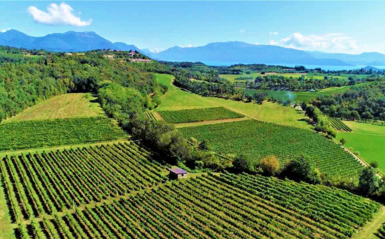 Agriturismo La Guarda Picedo Eksteriør billede